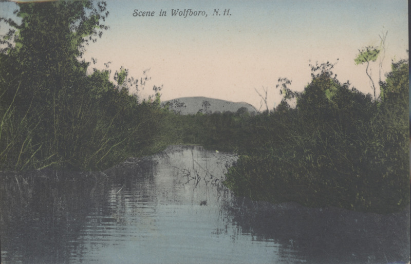 Scaled image s00259.jpg 