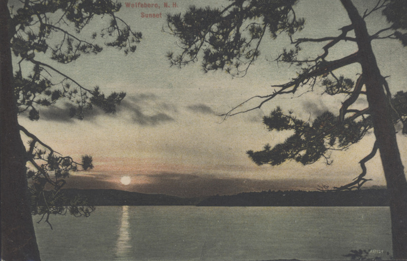 Scaled image s00263.jpg 
