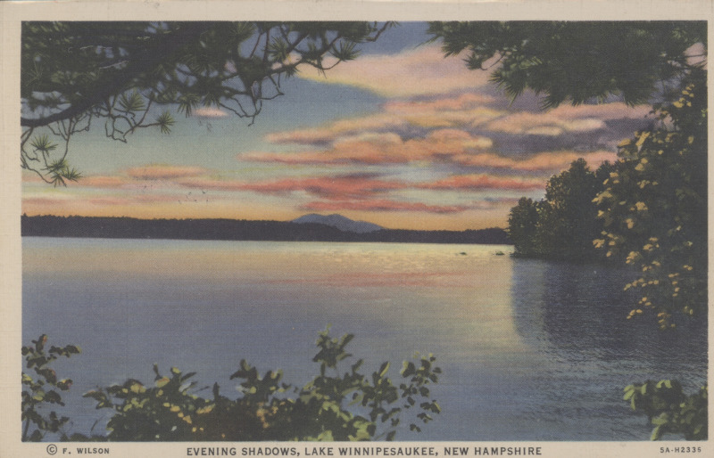 Scaled image s00264.jpg 