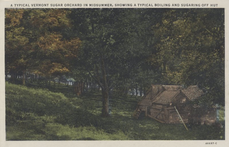 Scaled image s00639.jpg 