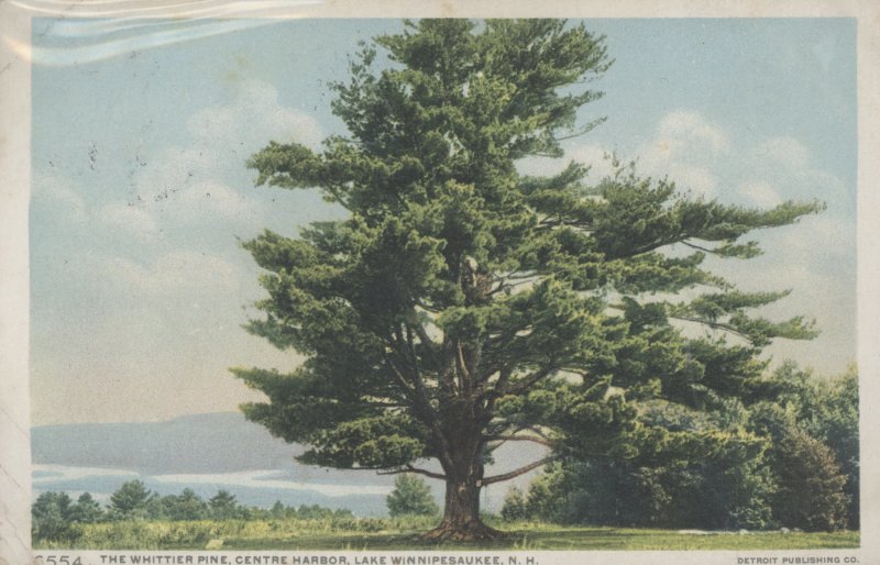 Scaled image s00667.jpg 