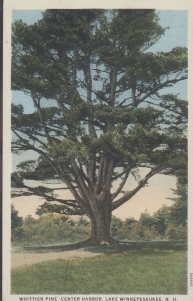 Scaled image s00668.jpg 