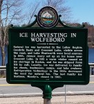 Thumbnail mn_statemark.jpg 