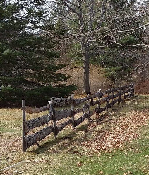 Scaled image bark_fence.jpg 