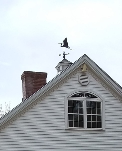 Scaled image bird_weathervane.jpg 