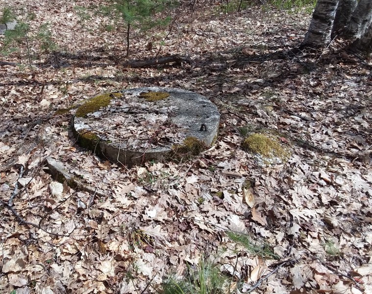 Scaled image knight_well_cover.jpg 