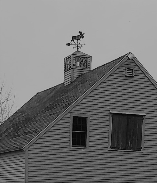 Scaled image moose_weathervane.jpg 