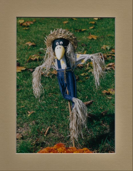 Scaled image scarecrow.jpg 