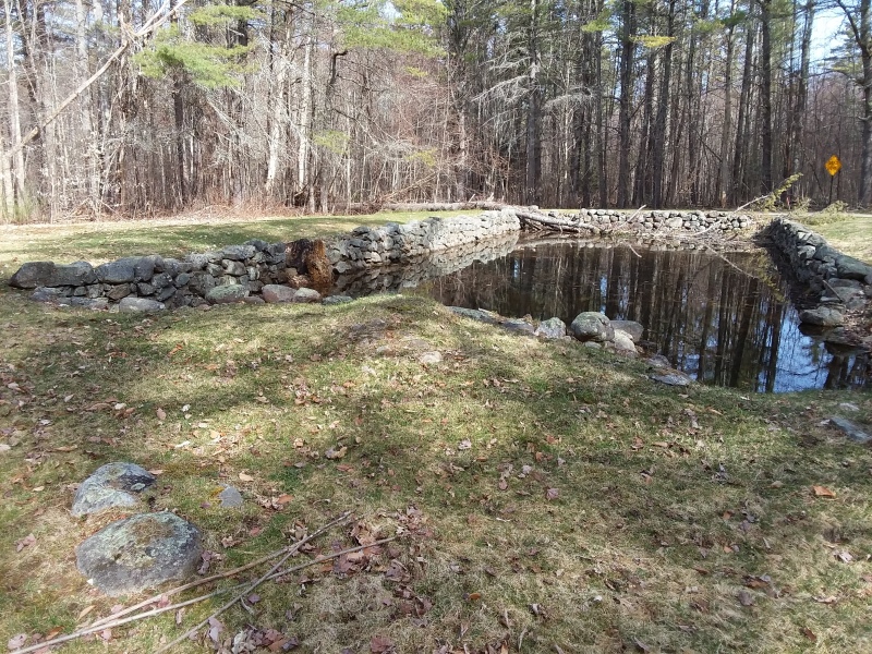 Scaled image 16_Estate_Foundation.jpg 