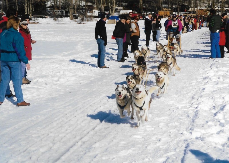 Scaled image 59_dog_sleds_2_001.jpg 