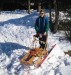 Thumbnail 60_dog_sleds_2_002.jpg 