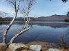 Thumbnail 66_Chocorua_Lake_Mountain.jpg 