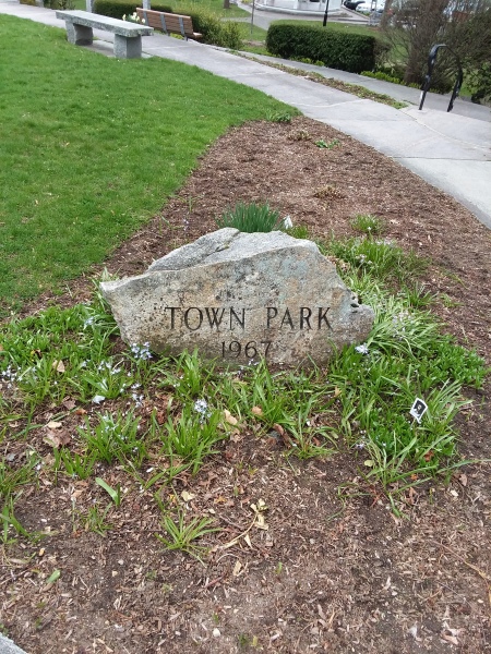 Scaled image 21_Town_Park_sign.jpg 