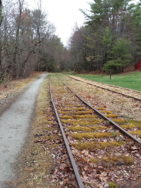Scaled image 62_Cotton_V._track_scene.jpg 